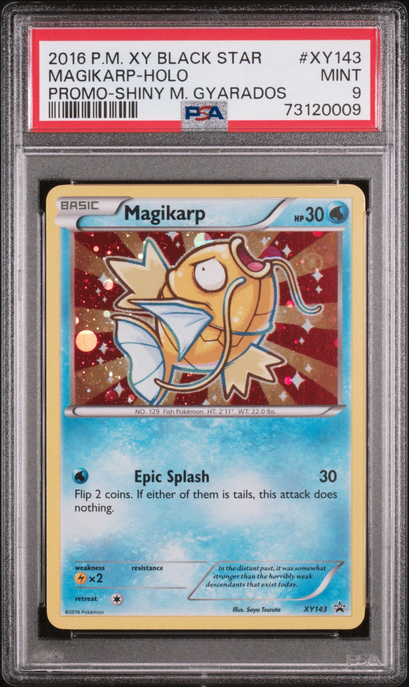 2016 Pokemon Xy Black Star Promo #XY143 Magikarp Holo PSA 9