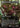 Orcish Bowmasters (Borderless) - The Hobbit: Eternal-Legal