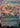 Raise the Palisade (Borderless) (Surge Foil) (Foil) - The Hobbit: Eternal-Legal