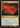 Savage Lands (Foil) - Friday Night Magic 2011