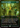 Collected Company (Borderless) - Special Guests