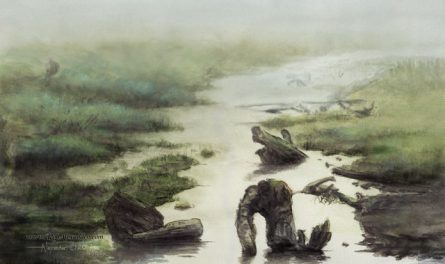 CEDH Staples - Lands