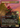 Ashroot Animist - Foundations (Borderless)