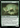 Nurturing Bristleback - The Lost Caverns of Ixalan