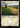 Plains (1156) (Surge Foil) - Doctor Who Foil
