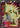 Tyranitar EX (91 Full Art) 91/98 - XY  Ancient Origins Holofoil