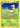 Servine 6/124 - XY  Fates Collide