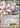 Magearna EX 75/114 - XY  Steam Siege Holofoil