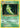 Metapod 4/108 - XY  Evolutions