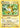 Raichu 36/108 - XY  Evolutions Holofoil