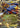 Garchomp EX XY167 XY167/211 - XY Promos Holofoil
