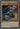 Inspector Boarder (Secret Rare) - Extreme Force Unlimited