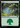 Forest (0506) (Ripple Foil) - Modern Horizons 3 Foil