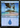 Island (554) - Secret Lair Drop Foil