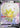 Eldegoss V (Full Art) 176/192 - SWSH02 Rebel Clash Holofoil