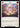 Blink - Tales of Aria Unlimited Edition Rainbow Foil