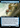 Archmage's Newt (Extended Art) - Outlaws of Thunder Junction: (Extended Art)