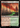 Cinder Glade (Surge Foil) - Fallout Foil