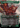 Grist, Voracious Larva (Borderless) - Modern Horizons 3 (Borderless)
