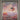 2023 Pokemon Mew En-151 #199 Charizard Ex Special Illustration Rare PSA 10
