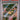 2023 Pokemon Mew En-151 #173 Pikachu Illustration Rare PSA 10