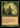 Lion Umbra (Retro Frame) - Modern Horizons 3