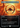 Sol Ring - Secret Lair Drop (Borderless) Foil