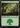 Forest (576) - Secret Lair Drop Foil
