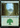 Forest (577) - Secret Lair Drop Foil
