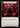 Blessing of Savagery (Red) - Dynasty
