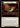 Imperial Warhorn - Dynasty