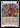 Tales of Adventure - LSS005 - Flesh and Blood: Promo Cards Rainbow Foil