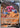 Drapion V GG49/70 - Crown Zenith Galarian Gallery Holofoil