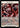 Bloodrot Pox - FAB133 - Flesh and Blood: Promo Cards Rainbow Foil