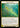 Rosetta Thorn - FAB099 - Flesh and Blood: Promo Cards Cold Foil