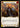 Defender of Daybreak (Yellow) - Dusk till Dawn Rainbow Foil