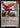 Banneret of Vigor - LGS181 - Flesh and Blood: Promo Cards Rainbow Foil