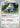 Snorlax 143 - SV Scarlet & Violet 151