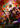 Nuu, Alluring Desire (Marvel) - Part the Mistveil Cold Foil