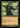 Moldervine Cloak (Retro Frame) - Ravnica Remastered: (tombstone)
