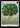 Channel the Millennium Tree - Rosetta
