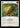 Fertile Ground (Blue) - Rosetta Rainbow Foil