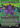 Necrotic Ooze - Secret Lair Drop (Borderless)
