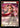 Scarf for a Scarf - LSS019 - Flesh and Blood: Promo Cards Rainbow Foil