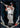 2019 Topps High Tek #6 Andrew Benintendi Black #/50 front