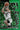 2022-23 Panini Mosaic #1 Jayson Tatum Elevate Mosaic Green front