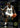 1993-94 SkyBox Premium #AR1 Shaquille O'Neal NBA All-Rookie Team front