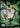 2024-25 Hoops #27 LeBron James Ignition front