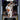 2023-24 Panini Prizm #63 LeBron James Prizms Silver front