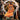 2000-01 Topps Stars #127 Shaquille O'Neal front